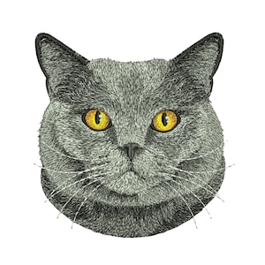 British Short Hair cat Embroidery Designs Cat Face, Pets Embroidery, Machine Embroidery Digital Designs Instant Download