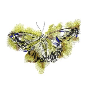 蝶の刺繍デザイン、機械刺繍デザイン、カラフルな刺繍デザイン、芸術的な刺繍デザイン、デジタル化されたファイル