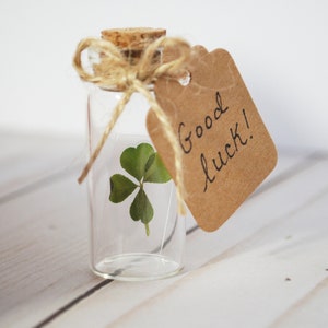 Real Four Leaf Clover in Glass Bottle with Customizable Tag Message Small Bottled Shamrock Genuine 4 Leaf Unique Gift for Good Luck image 1