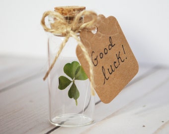 Real Four Leaf Clover in Glass Bottle with Customizable Tag Message | Small Bottled Shamrock | Genuine 4 Leaf | Unique Gift for Good Luck