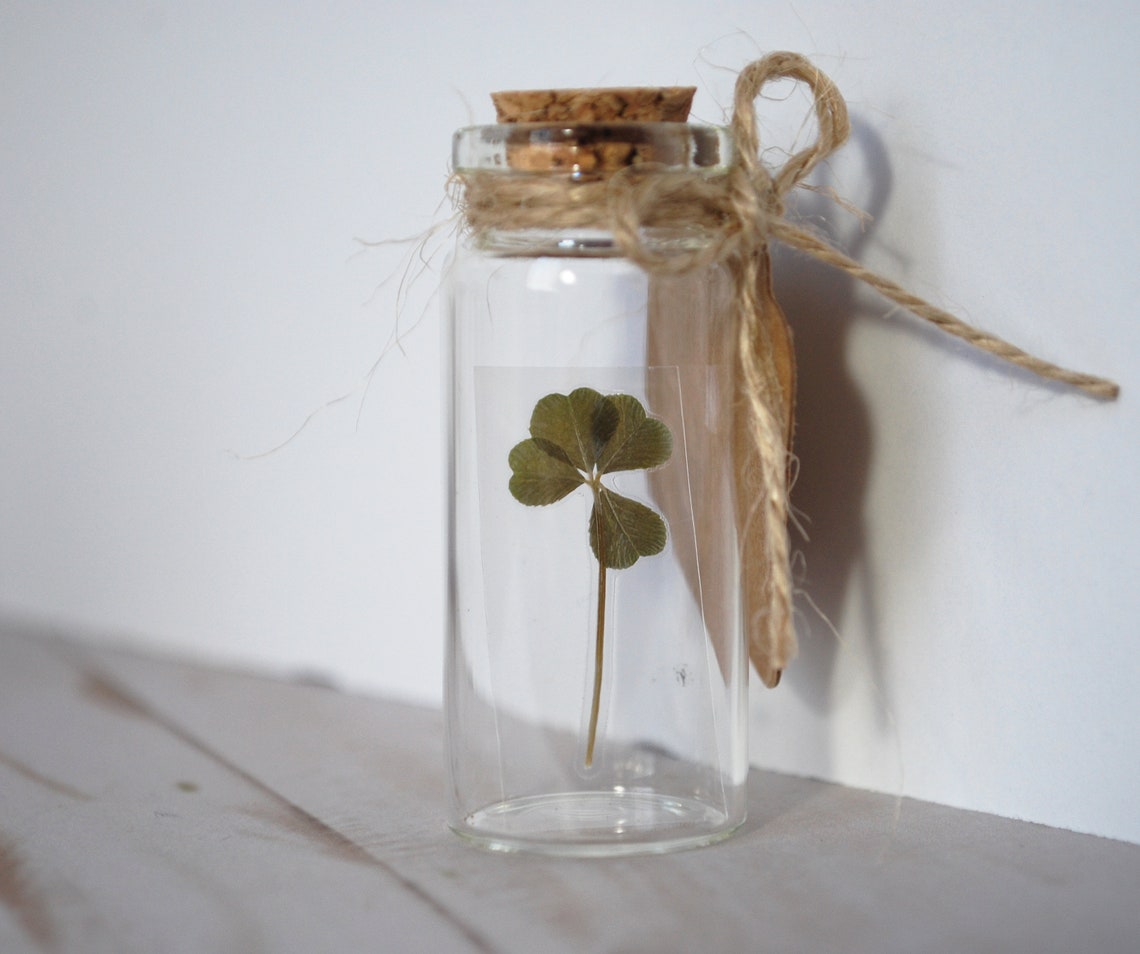 Real Four Leaf Clover in Glass Bottle With Customizable Tag Etsy
