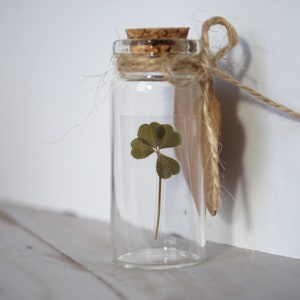 Real Four Leaf Clover in Glass Bottle with Customizable Tag Message Small Bottled Shamrock Genuine 4 Leaf Unique Gift for Good Luck image 7