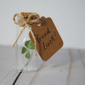 Real Four Leaf Clover in Glass Bottle with Customizable Tag Message Small Bottled Shamrock Genuine 4 Leaf Unique Gift for Good Luck image 5