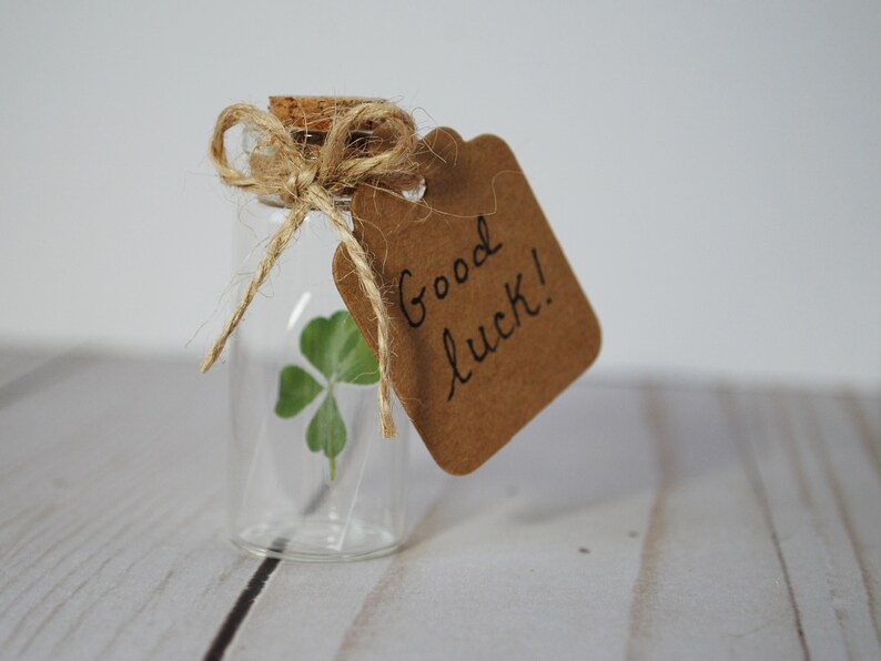 Real Four Leaf Clover in Glass Bottle with Customizable Tag Message Small Bottled Shamrock Genuine 4 Leaf Unique Gift for Good Luck image 5