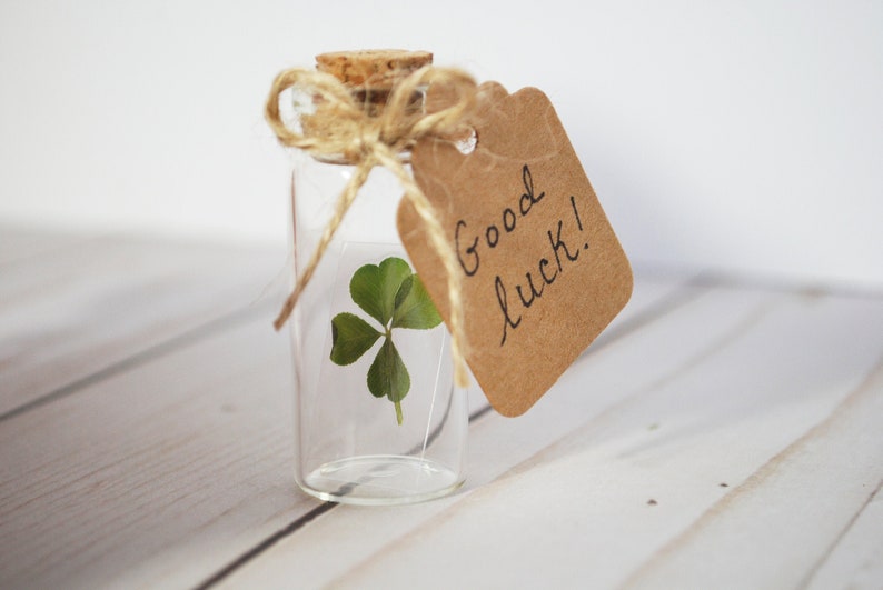 Real Four Leaf Clover in Glass Bottle with Customizable Tag Message Small Bottled Shamrock Genuine 4 Leaf Unique Gift for Good Luck image 1