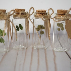 Real Four Leaf Clover in Glass Bottle with Customizable Tag Message Small Bottled Shamrock Genuine 4 Leaf Unique Gift for Good Luck image 3