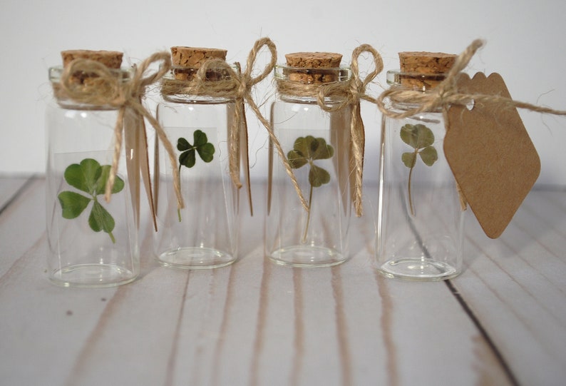 Real Four Leaf Clover in Glass Bottle with Customizable Tag Message Small Bottled Shamrock Genuine 4 Leaf Unique Gift for Good Luck image 3