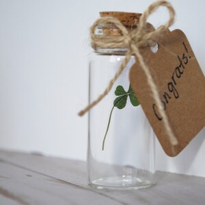 Real Four Leaf Clover in Glass Bottle with Customizable Tag Message Small Bottled Shamrock Genuine 4 Leaf Unique Gift for Good Luck image 6