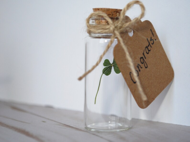 Real Four Leaf Clover in Glass Bottle with Customizable Tag Message Small Bottled Shamrock Genuine 4 Leaf Unique Gift for Good Luck image 6