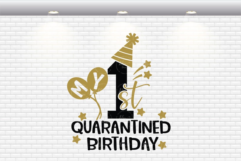 Download My First Quarantined Birthday Svg 1st Birthday Svg First | Etsy