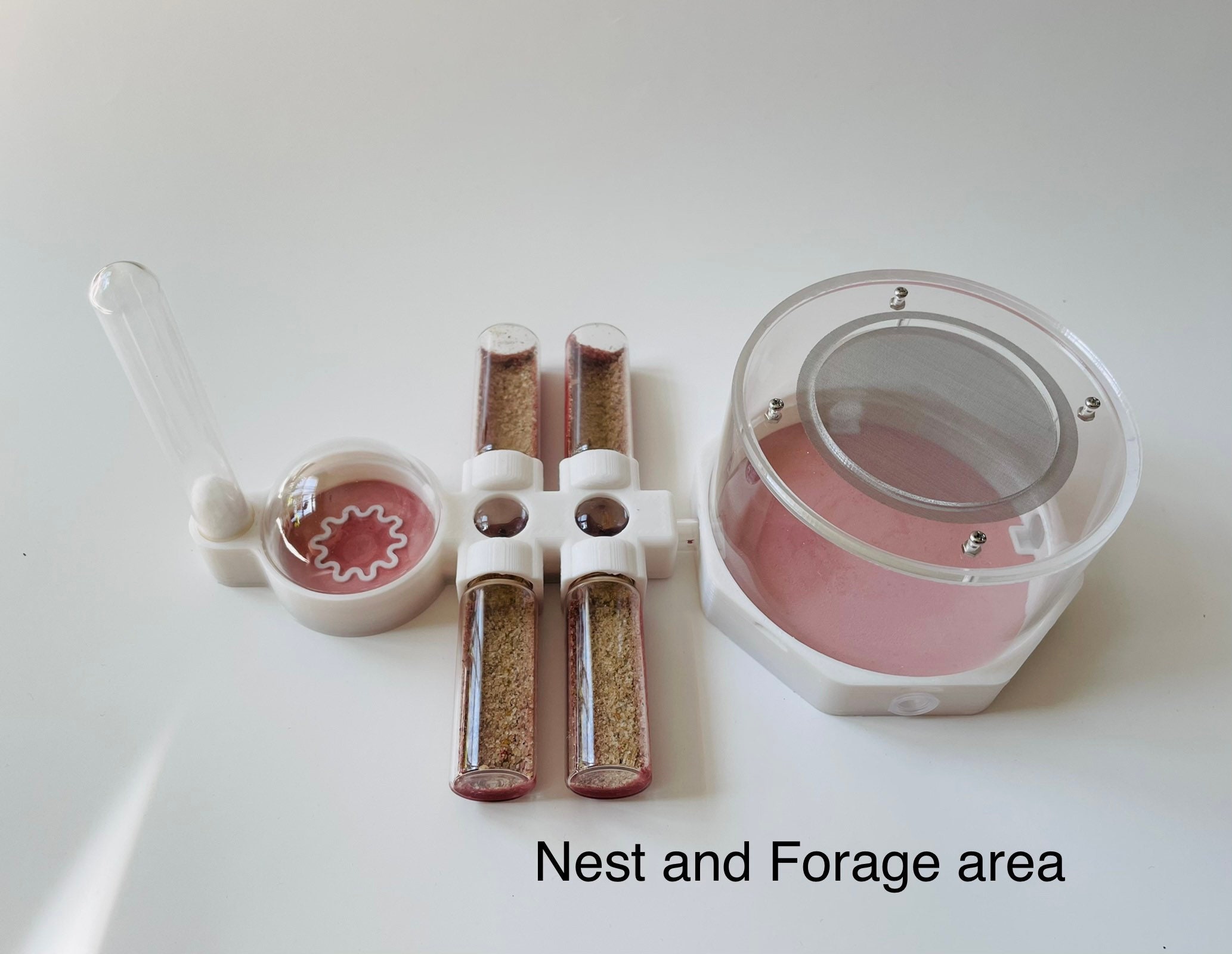 Space capsule series Ant Farm Setup with Magnifying spine