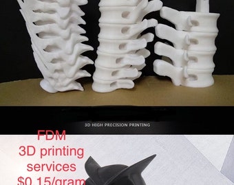 Fdm 3d Printing Services