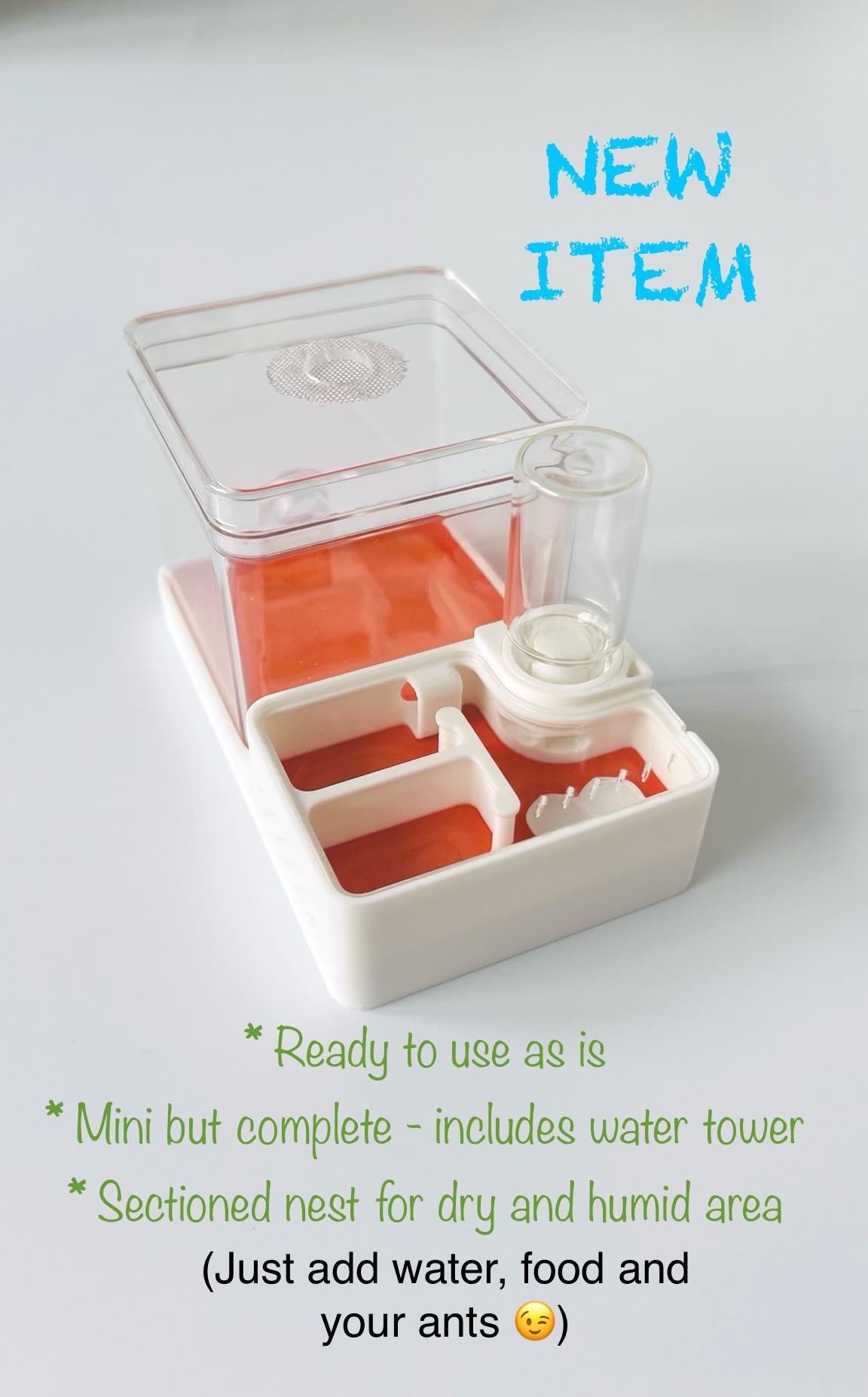 Mini nid carré transparent imprimé en 3D avec une ferme de fourmis avec couvercle en acrylique et château d'eau en verre pouvant être fixé au nid