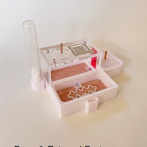 Small 3D printed ant farm for new Queen Ant or small colony of ants #FS4080