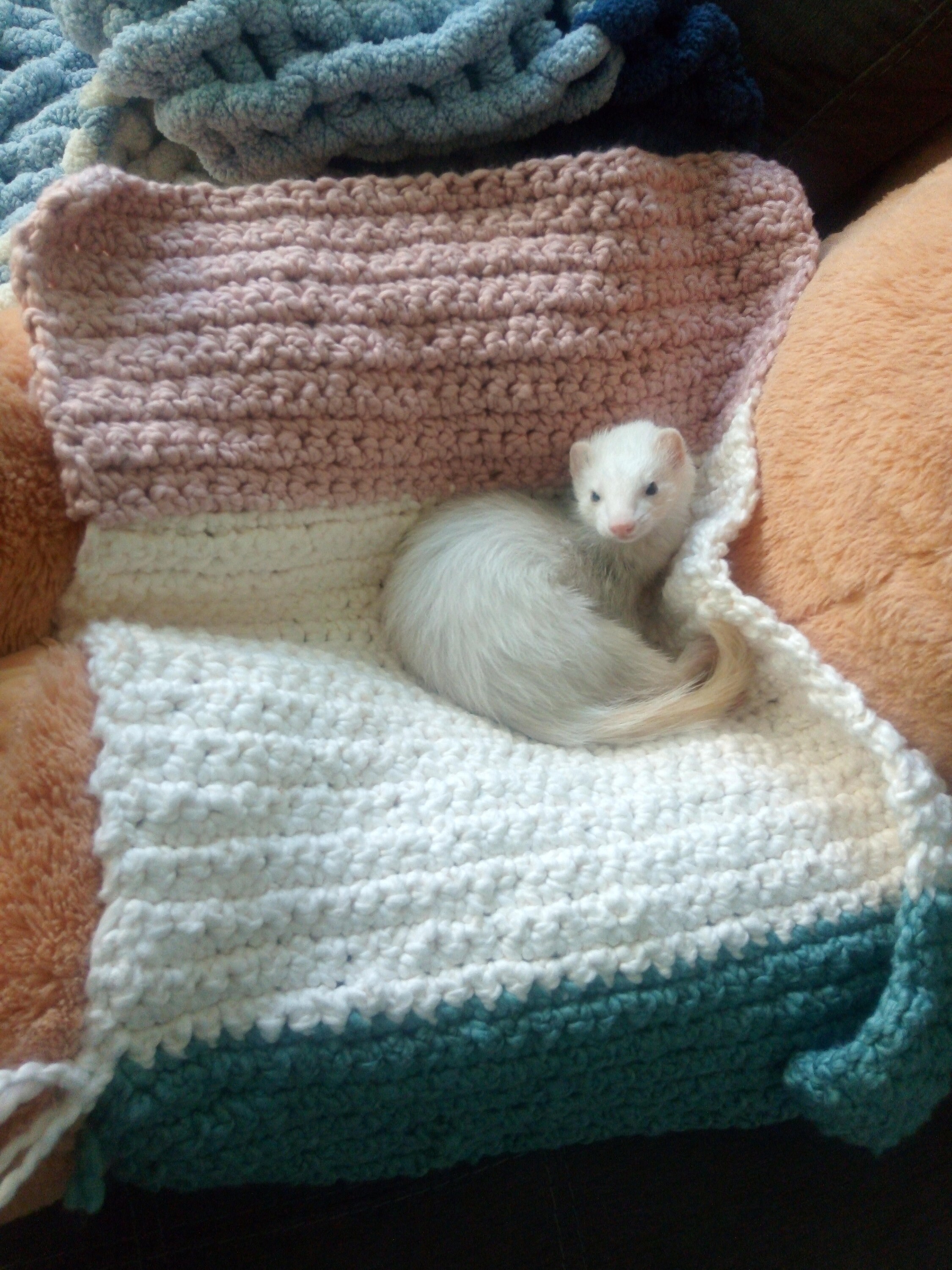 Crocheted ferret blanket with Luxe yarn Etsy