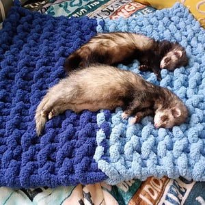 Hand Knitted Chunky Yarn Pet Blanket: Snuggle Blanket for Ferrets, Cats, Dogs