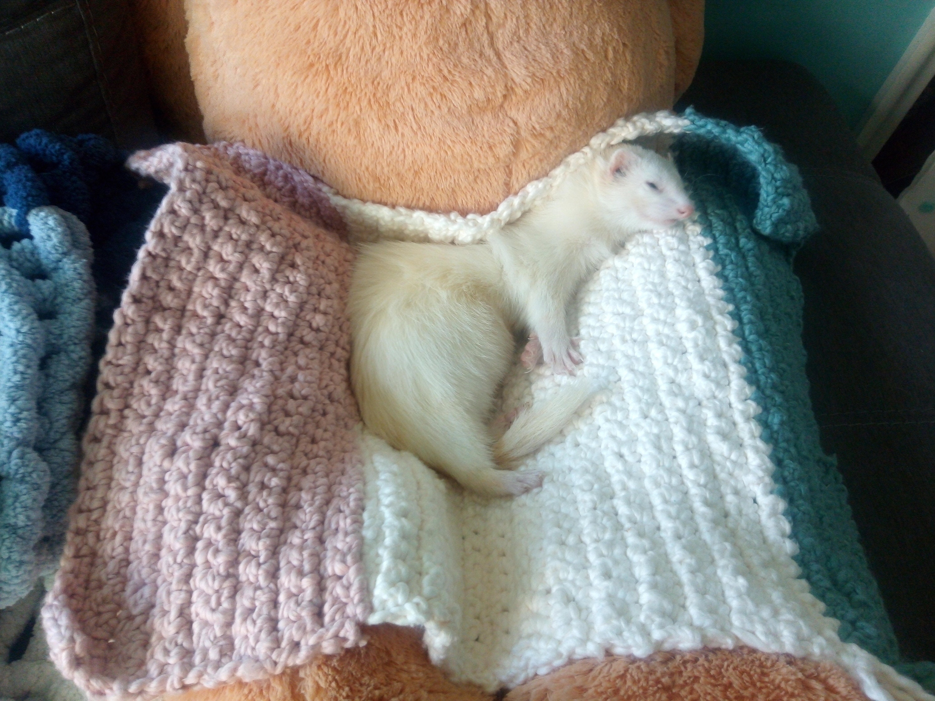 Crocheted ferret blanket with Luxe yarn Etsy