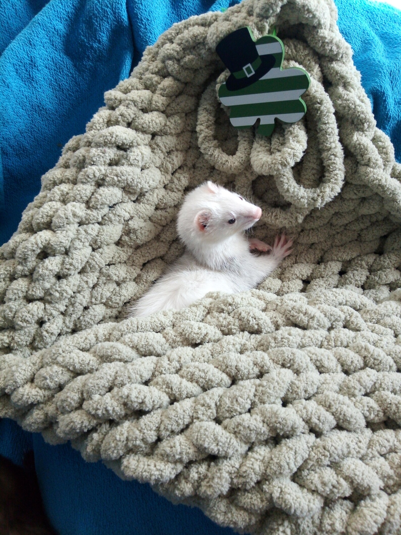 Ferret blanket hand knitted with Bernat chunky yarn Etsy