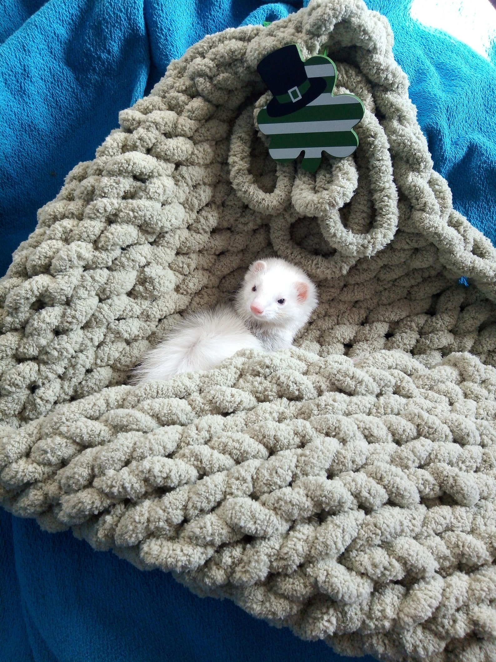 Ferret blanket hand knitted with Bernat chunky yarn Etsy
