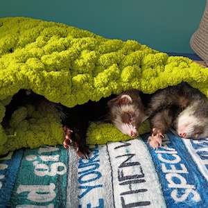 NEW COLORS!  The ferret snuggle CONE - hand knitted; ferrets; kittens; small animals; hedgehogs; sleeping bag