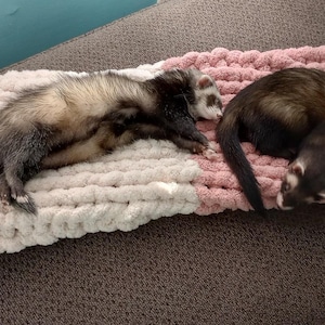 Hand Knitted Chunky Yarn Ferret Tunnel: 34&quot; Cozy Pet Play