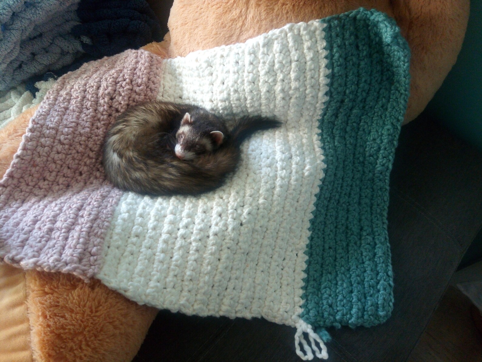 Crocheted ferret blanket with Luxe yarn Etsy
