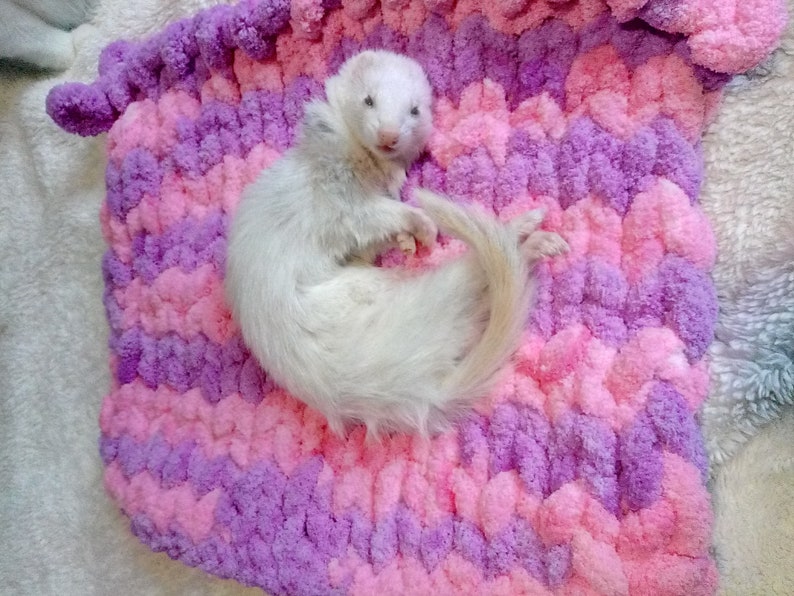 Ferret blanket hand knitted with chunky yarn Etsy
