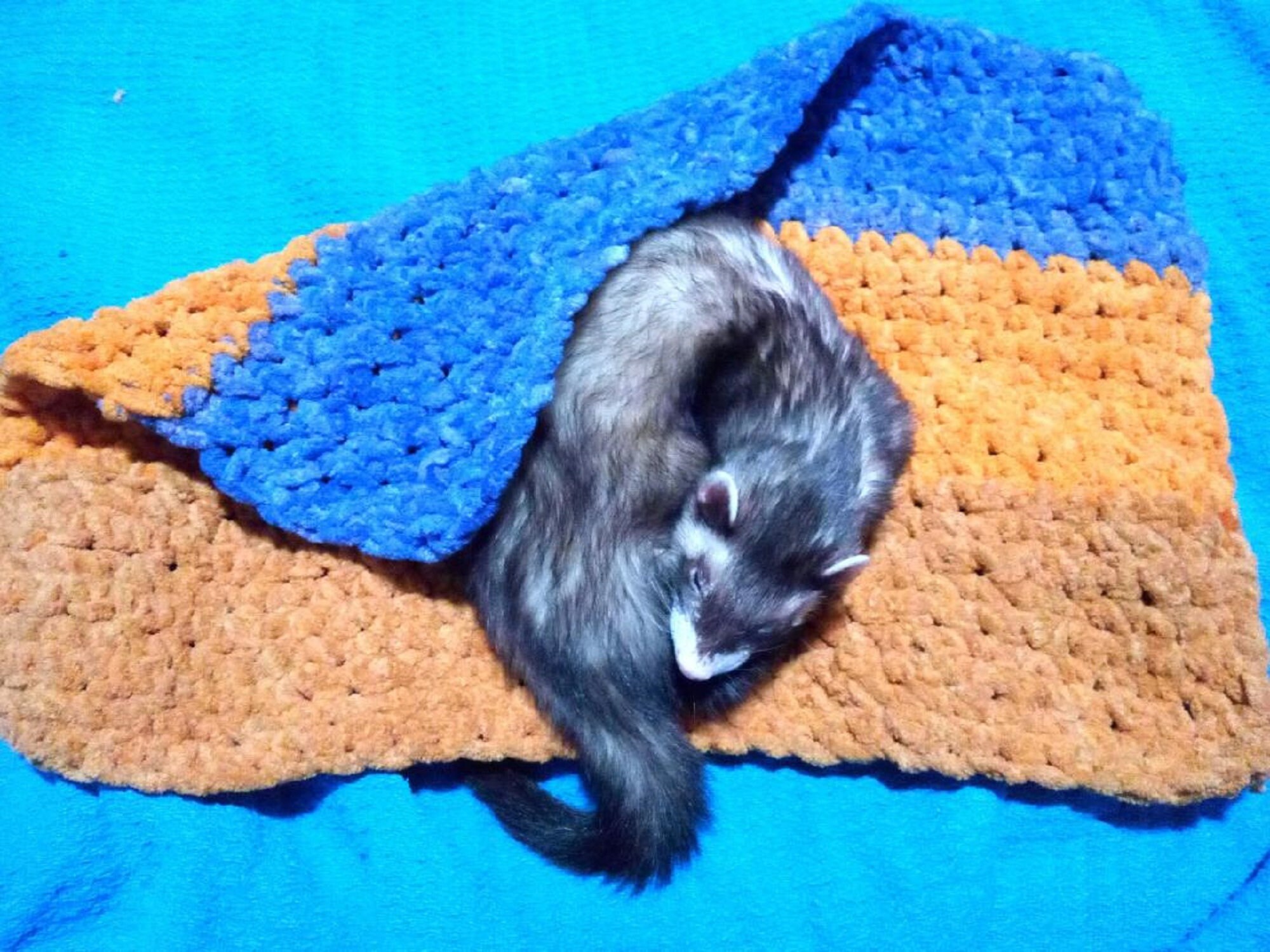 Crocheted ferret blanket with Bernat yarn Etsy