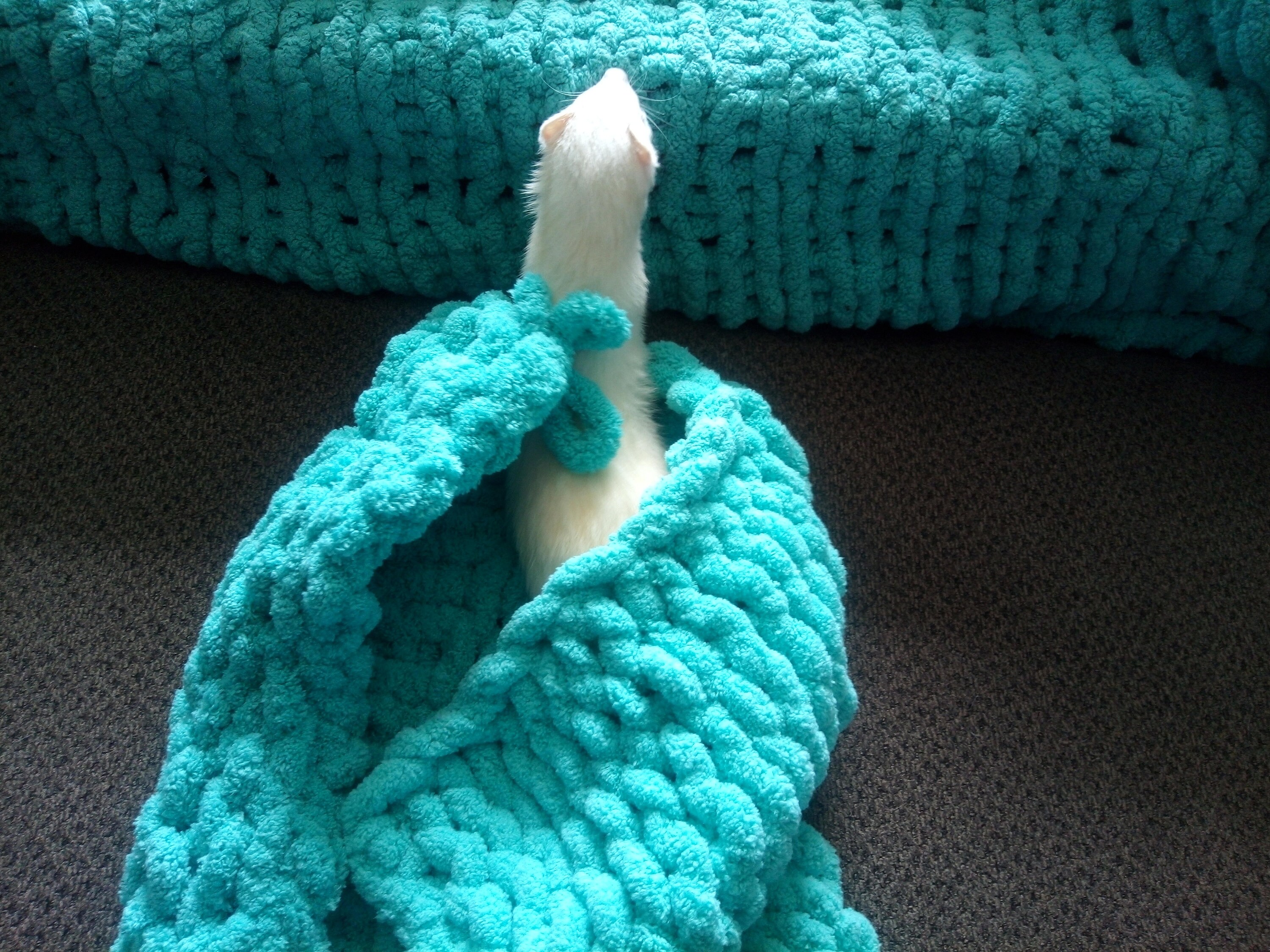 Ferret blanket hand knitted with Bernat chunky yarn Etsy