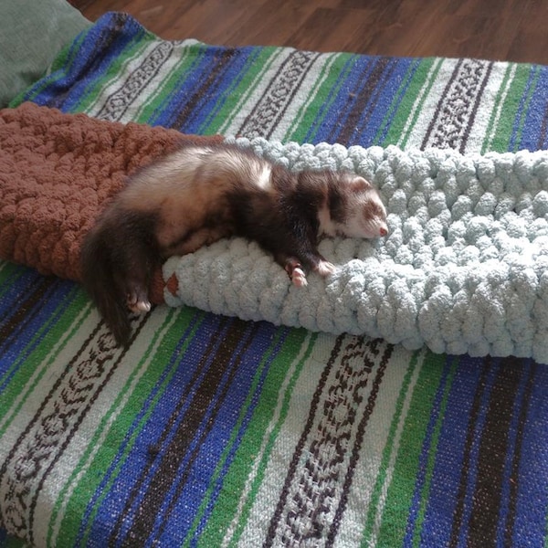 Ferret Bedding Etsy