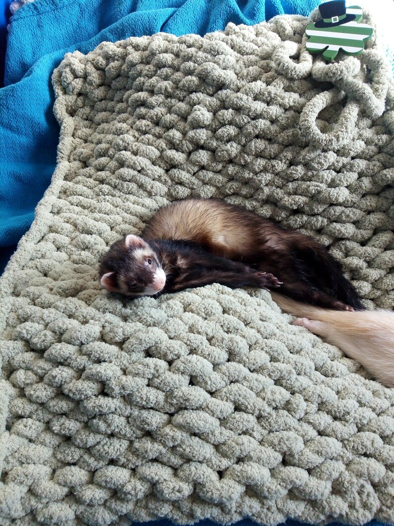 Ferret blanket hand knitted with Bernat chunky yarn Etsy