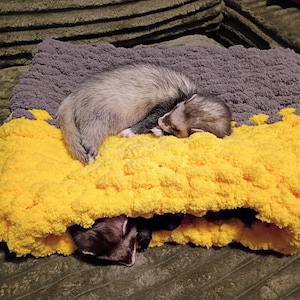 Hand Knitted Ferret Snuggle Pocket: Chunky Yarn Sleeping Sack