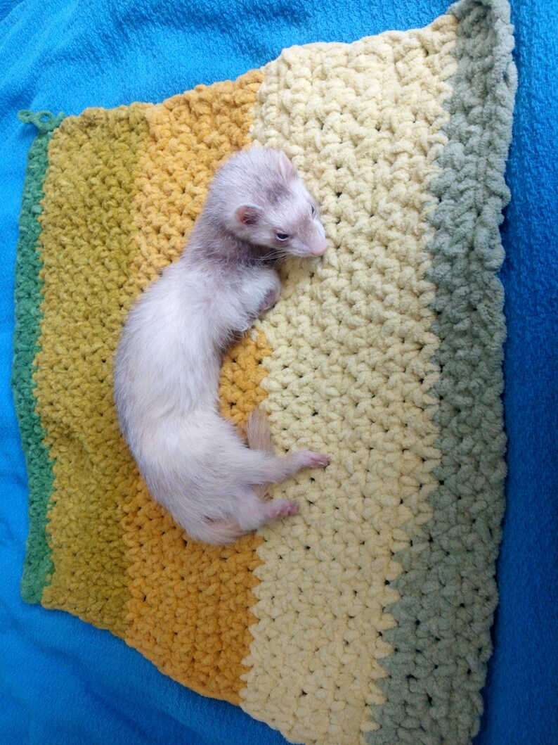 Crocheted ferret blanket with Bernat yarn Etsy