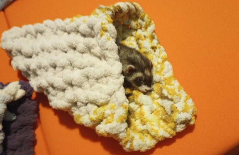 Ferret cozy CONE more than one to choose from : cotton and sunshine