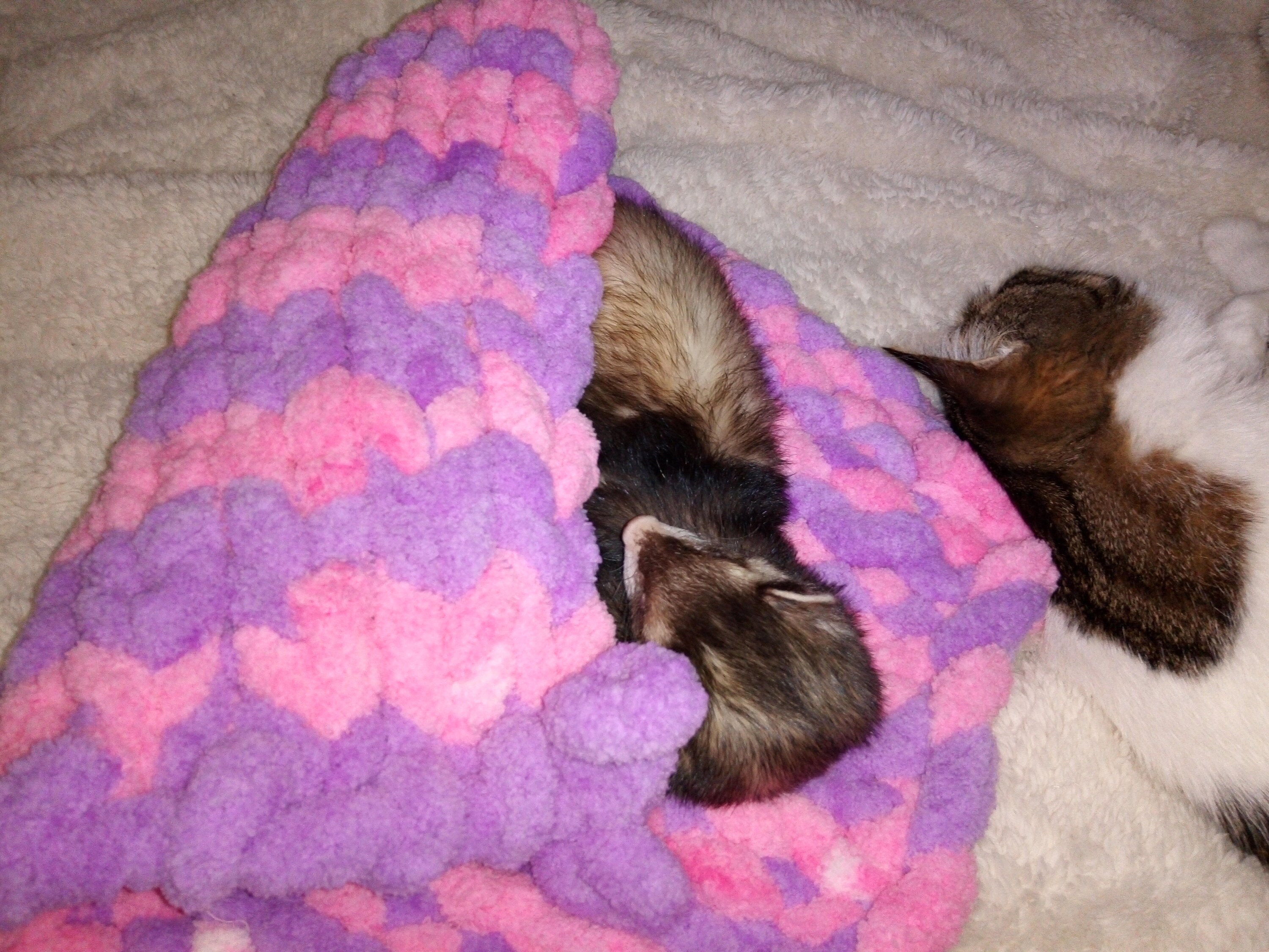 Ferret blanket hand knitted with chunky yarn Etsy