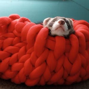 Hand Knitted Ferret Canoe: Chunky Cotton Tube Yarn Pet Bed