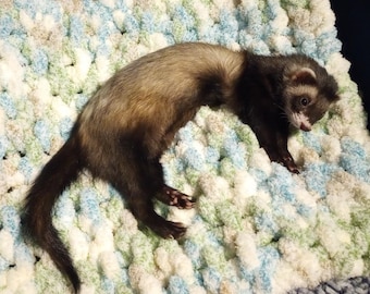 Ferret BLANKET - more than one color to choose from