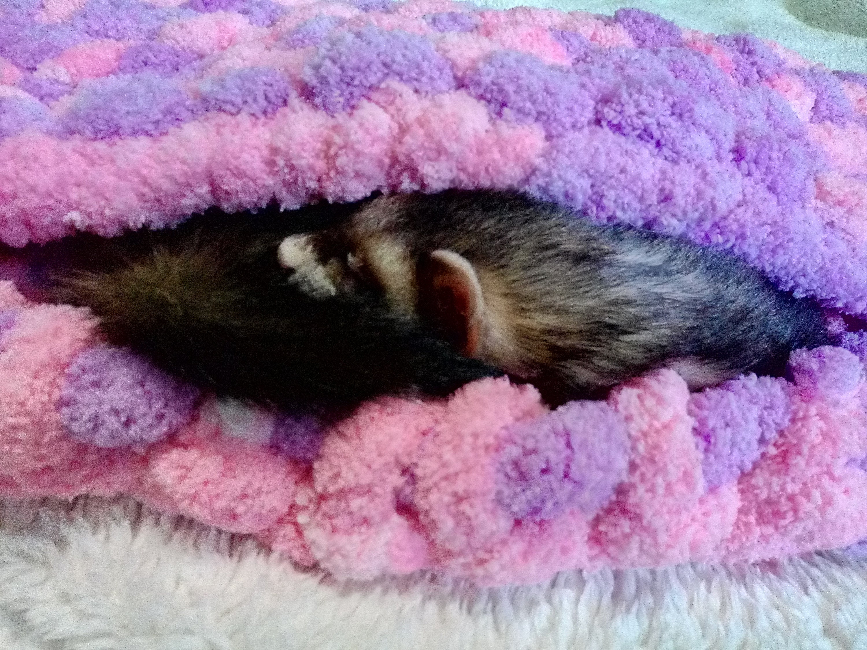 Ferret blanket hand knitted with chunky yarn Etsy