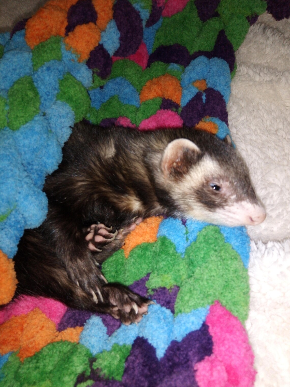 Ferret blanket hand knitted with chunky yarn Etsy