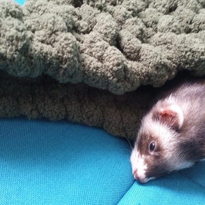 Ferret cozy CONE more than one to choose from : image 4