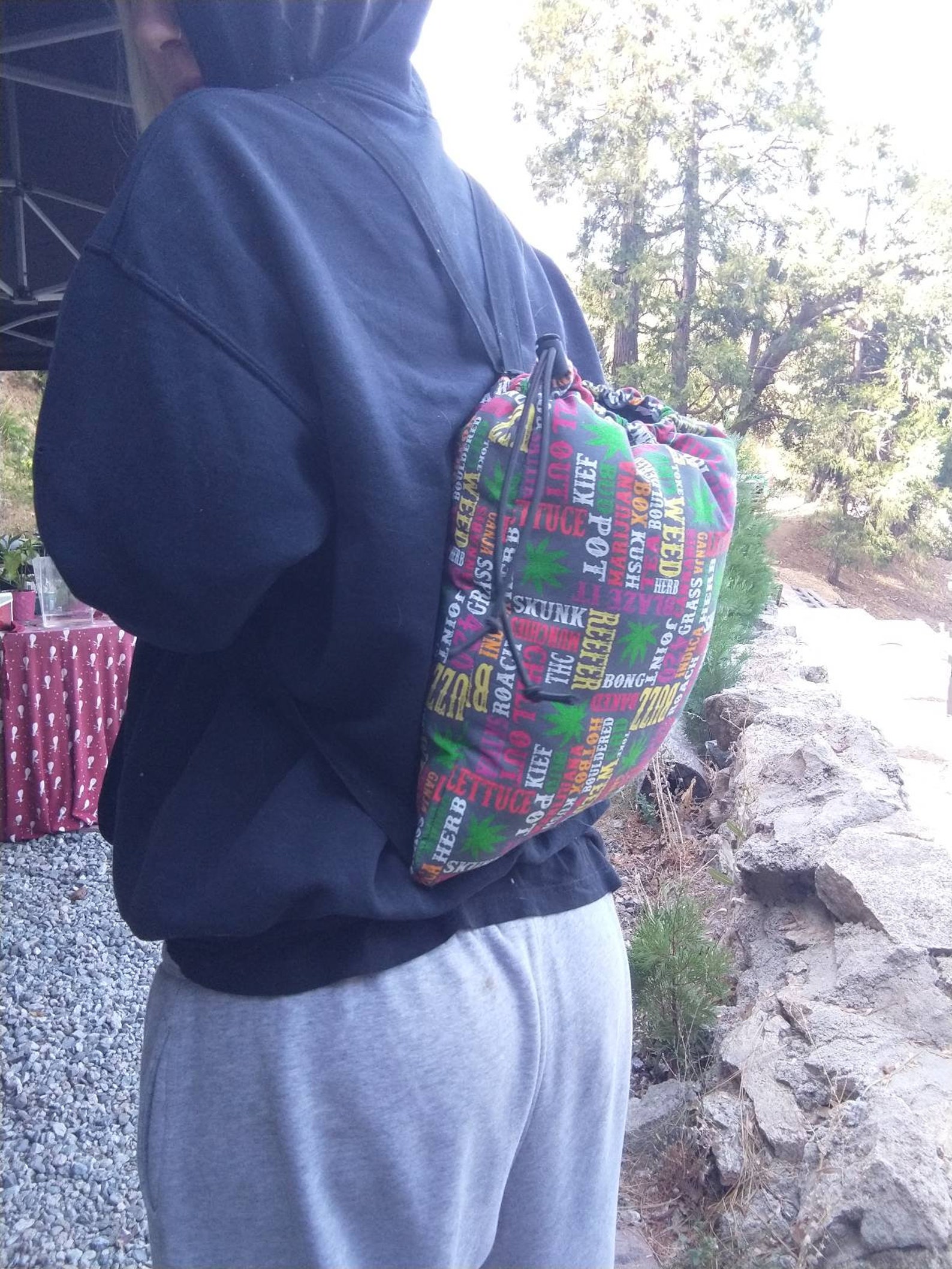 Bong bag padded bong bag travel bag bong storage backpack Etsy