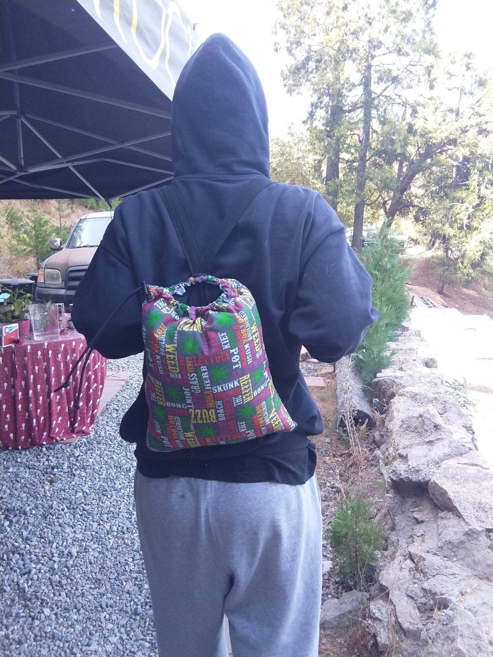 Bong bag padded bong bag travel bag bong storage backpack Etsy