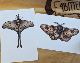 Moth Mini Prints, polyphemus moth and moon moth, Mini Linocut