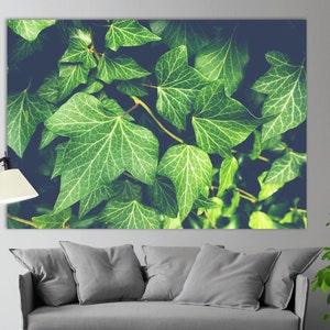 Green Wall Decor, Garden Wall Art, Ivy Canvas Print, Summer Wall Art, Green Leaves, Abstract Green Poster, Green Home Decor, Bedroom Decor image 2