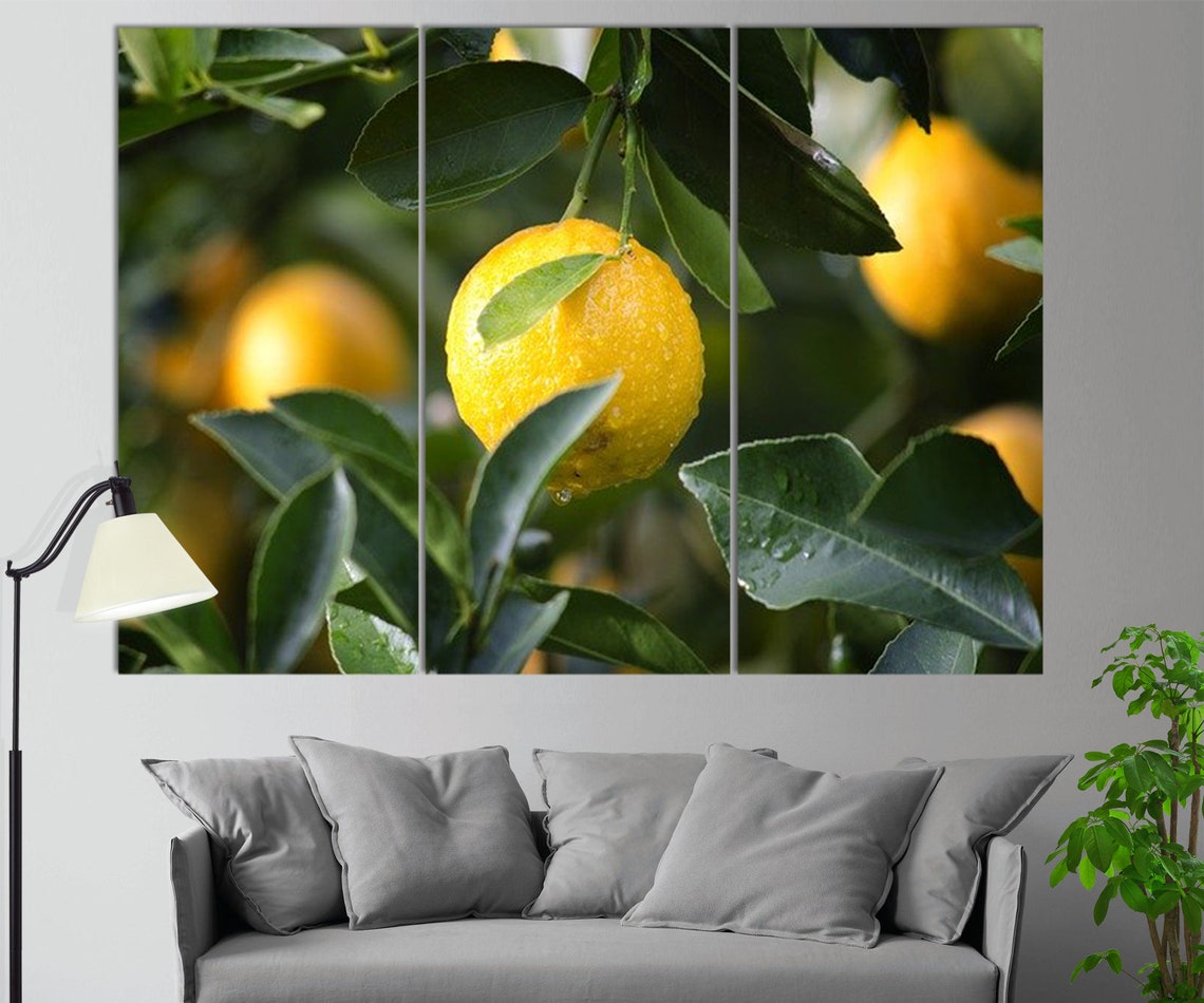 Lemon Tree Canvas Print Lemon Wall Art Fresh Wall Decor Etsy