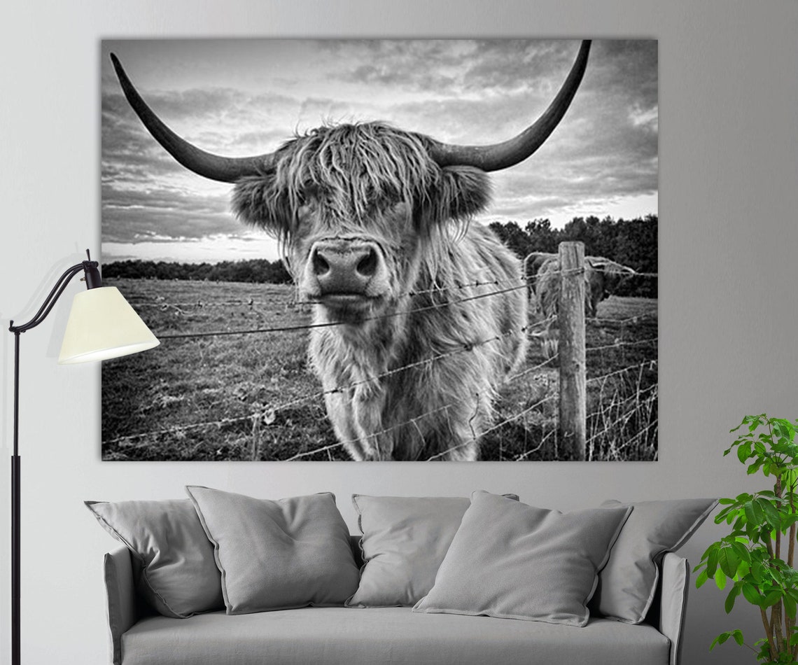 Black and White Highland Cow Canvas Print Farm Wall Art Etsy