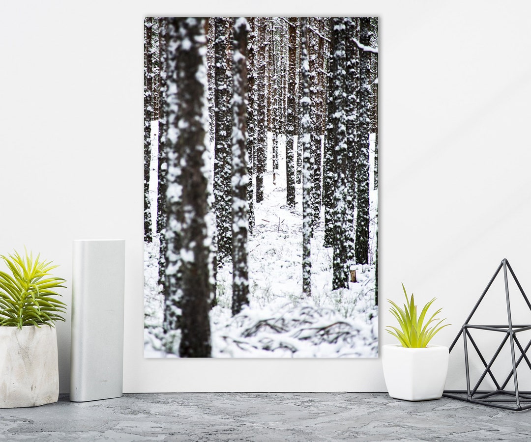 Winter Forest Wall Art Winter Canvas Print Winter Wall Etsy