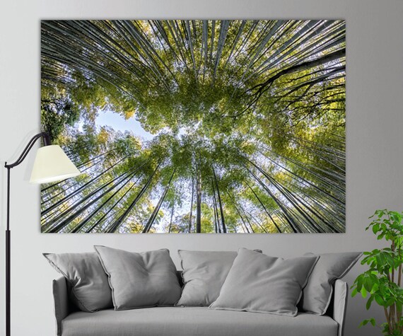 Bamboo Forest Canvas Print Bamboo Canvas Art Holiday House Etsy New Zealand