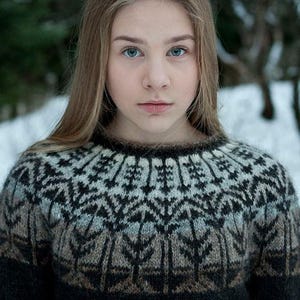 May include: A person wearing a patterned sweater with a black base and a detailed design in shades of gray, brown, and white. The sweater has a round neckline and long sleeves. The background is a blurred winter scene.