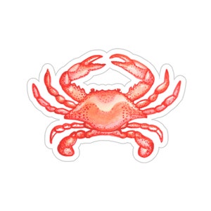 Vinyl Crab Sticker, Pink Red Crab Sticker, Coastal Sticker, Ocean Sticker, Marine Bio Sticker, Trendy Laptop Sticker, Water Bottle Sticker